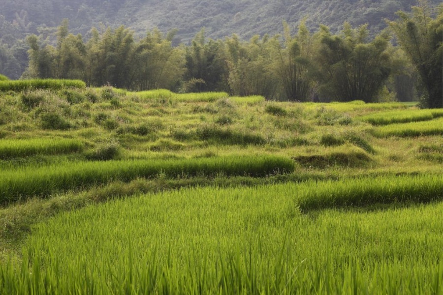 The Best of Cao Bang 