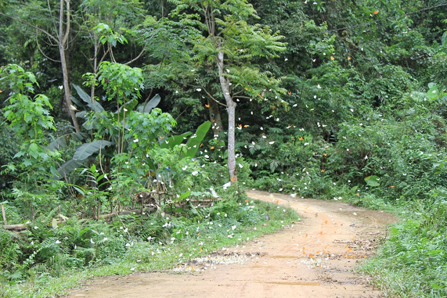 2 jours de randonnée facile à Pu Luong 