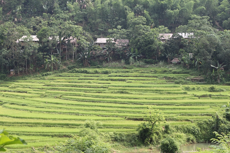 2 jours de randonnée facile à Pu Luong 