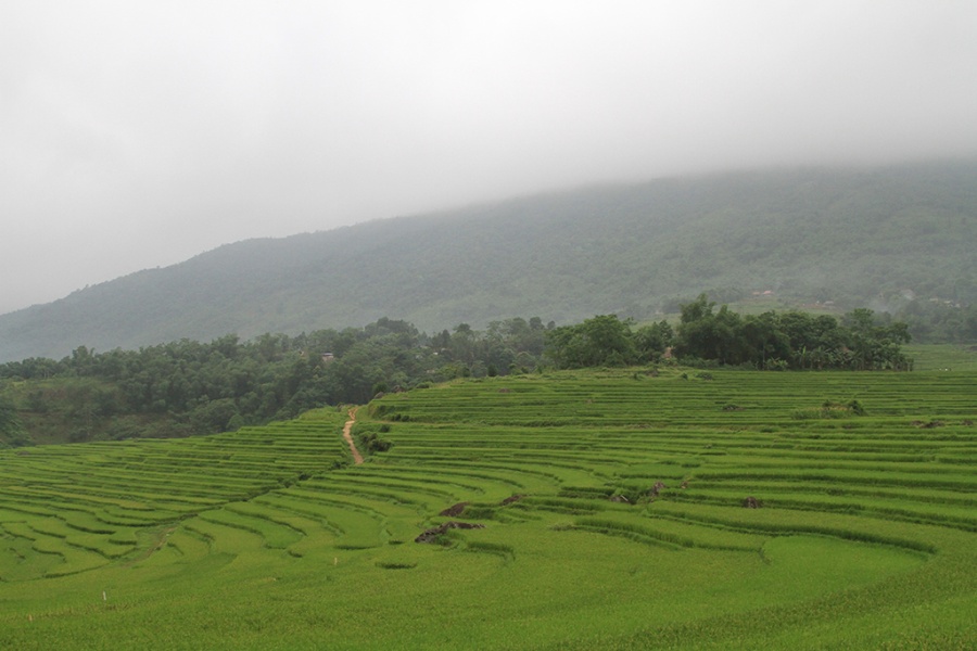 2 jours de randonnée facile à Pu Luong 