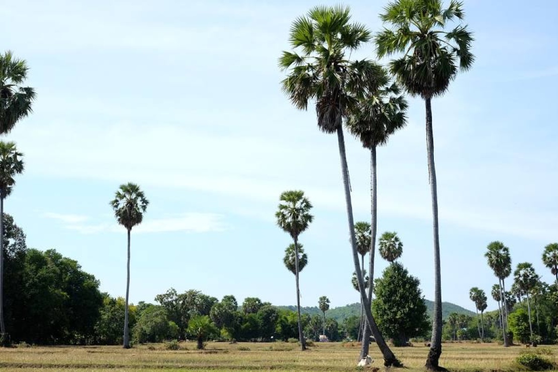 kampong-chhnang-5