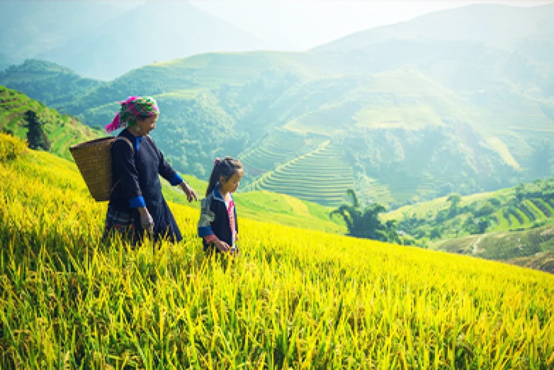 500-north-vietnam-tours