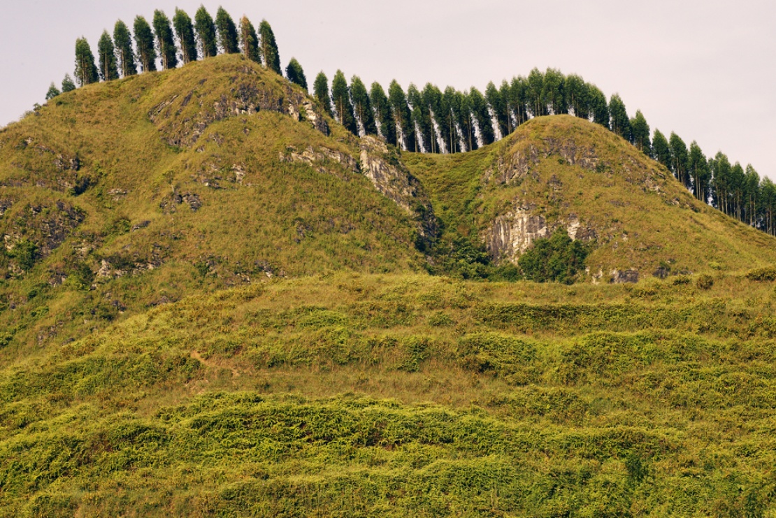 5-Vinh-Quy-Photo-prise-par-Minh