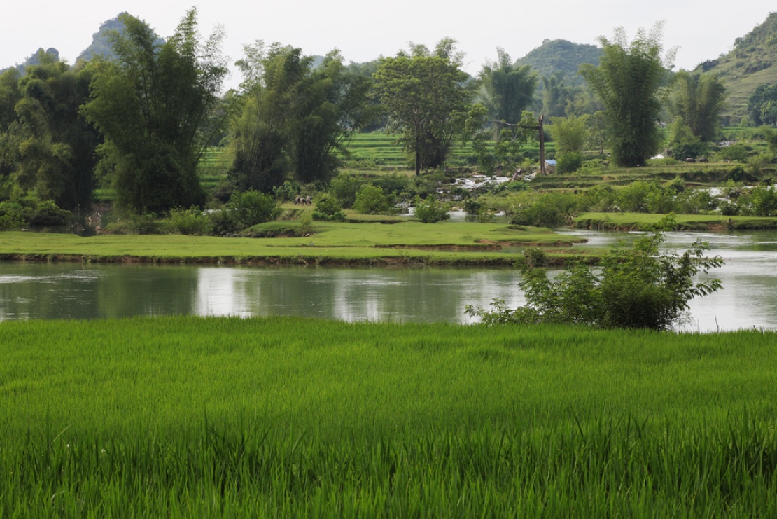 7-Quay-Son-River-5N2V8953FB