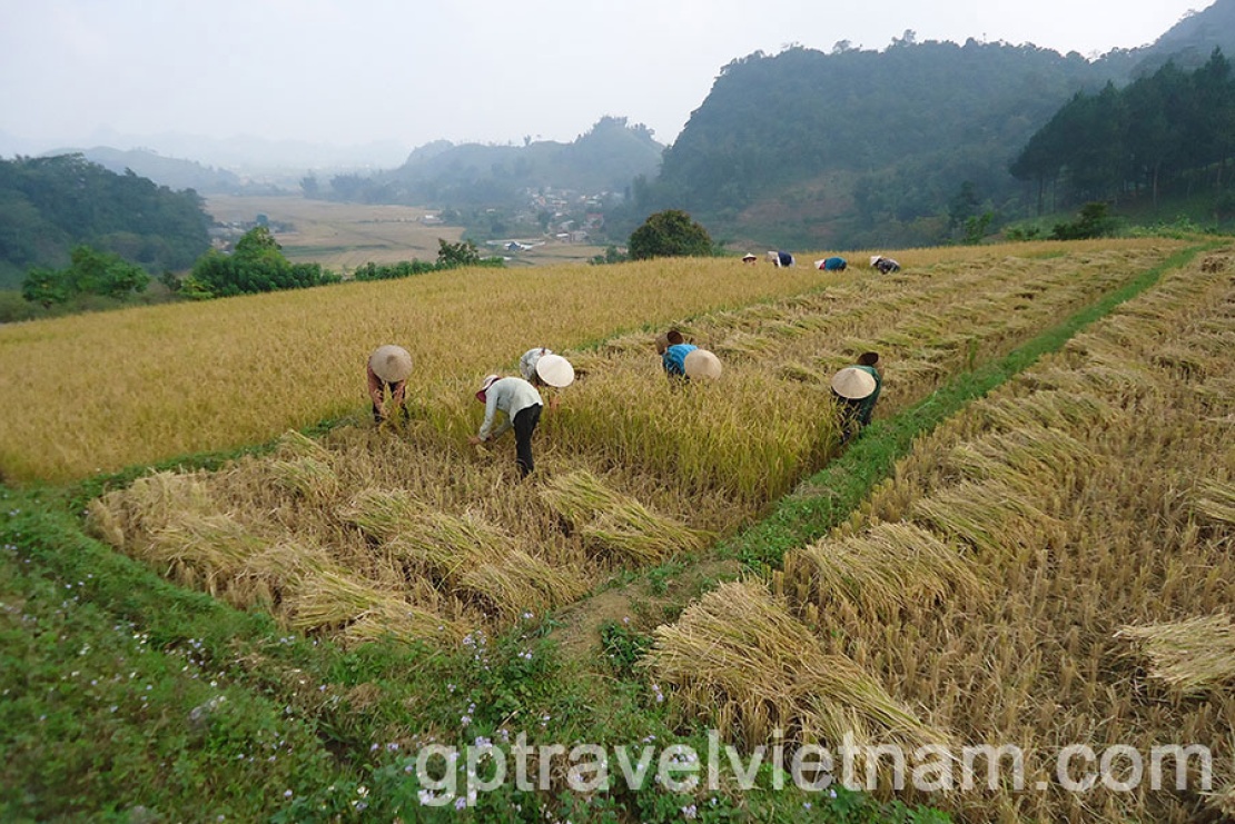 Vietnam-sept-octo-2013-268