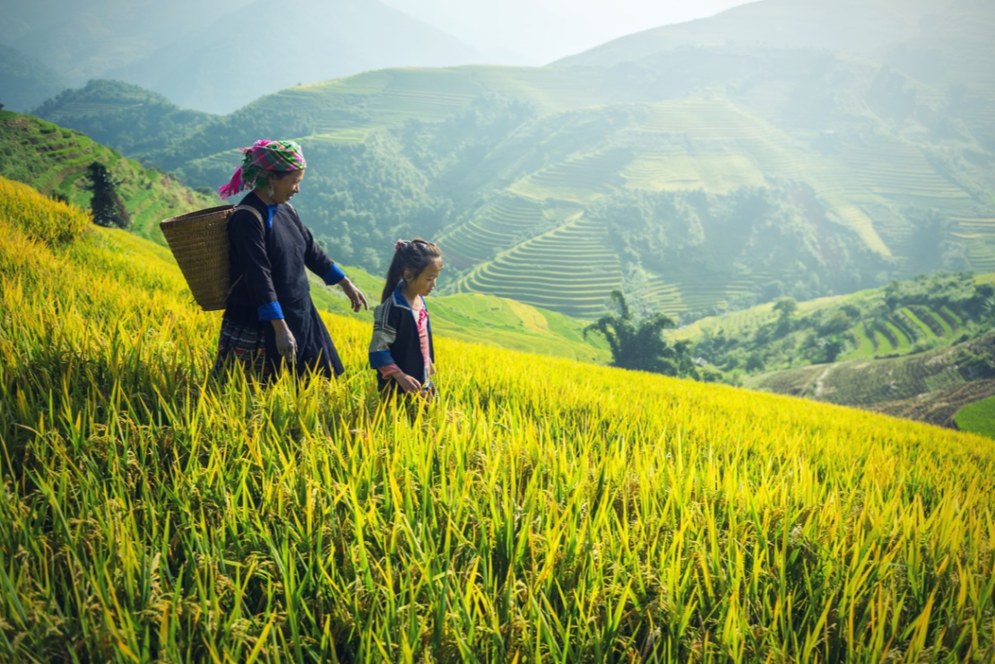 2023-06-12-10-44-21-c6a7b86dd73c14a9629c56007803c226