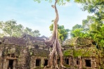922-Ta-Prohm-6
